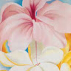 Meet your Posher, Tessa